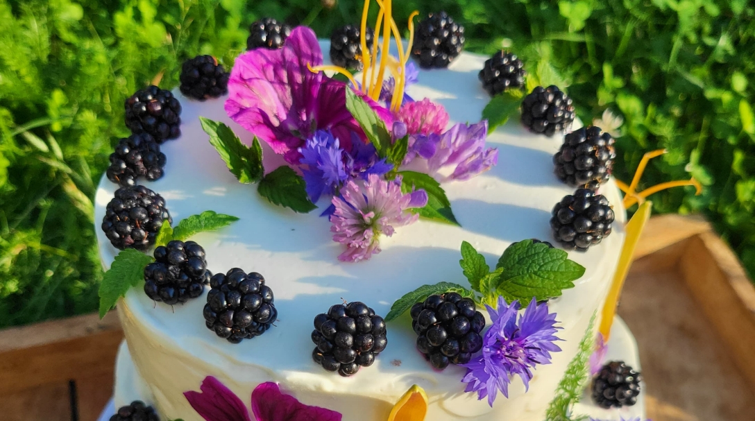 Brombeerkuchen