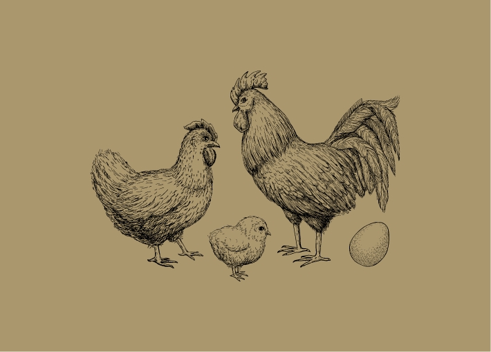Wild & Farm Tageskurs Kärnten – Hof erleben und kochen